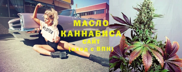 гидра Бронницы