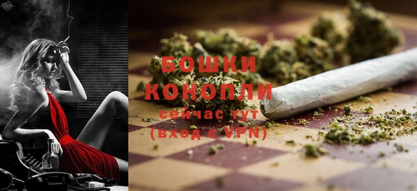 гидра Горнозаводск