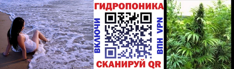 МАРИХУАНА AK-47  наркота  kraken ONION  Новосокольники 